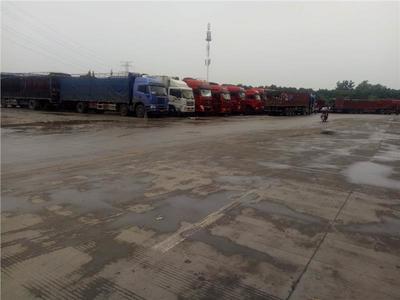 溫州貨運(yùn)公司 配送物流 省時(shí)省心