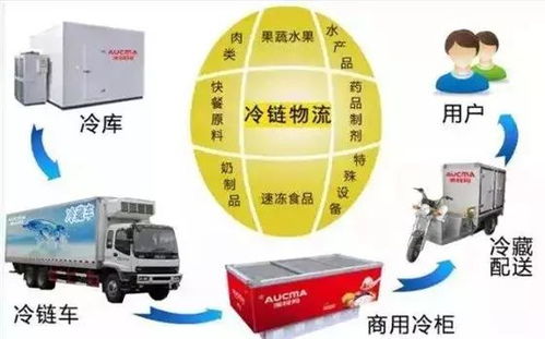 冷鏈物流 突破瓶頸、抓住機(jī)遇，推動(dòng)普通貨運(yùn)轉(zhuǎn)型升級(jí)